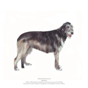 Irish Wolfhound Polly Horner