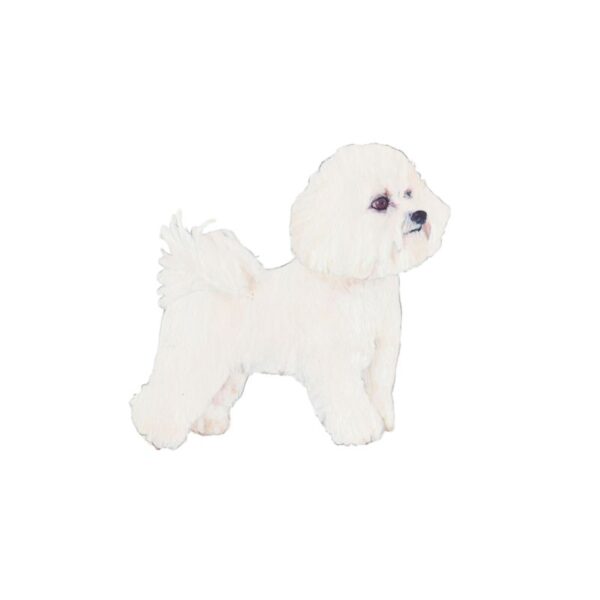 Bichon Frise Polly Horner 2011