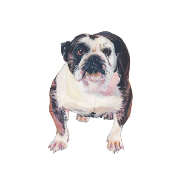 Bulldog Polly Horner 2011
