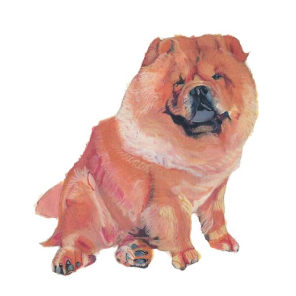Chow Chow Polly Horner 2011