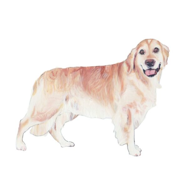 Golden Retriever Polly Horner 2011