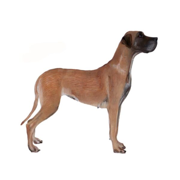 Great Dane Polly Horner 2013