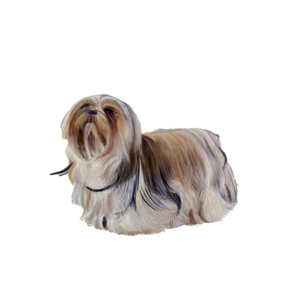 Lhasa Apso Polly Horner 2013