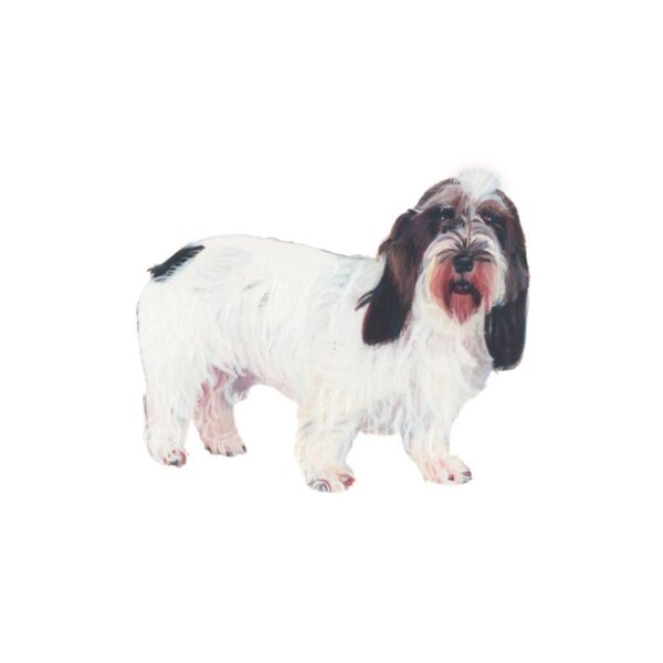 Petit Basset Griffom Vendee Polly Horner 2011