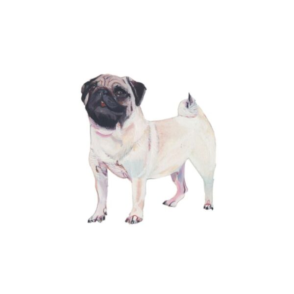 Pug Polly Horner 2011