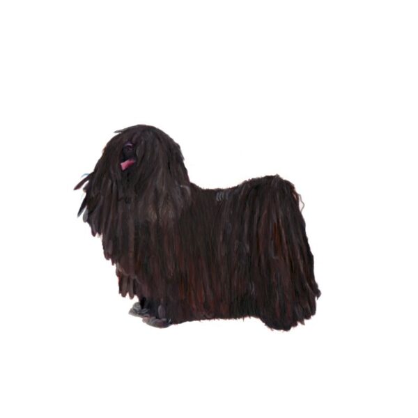 Puli Polly Horner 2013
