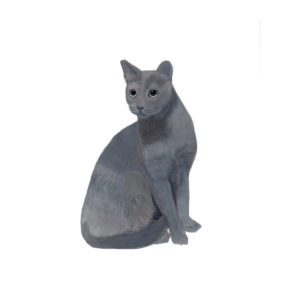 Russian Blue Polly Horner