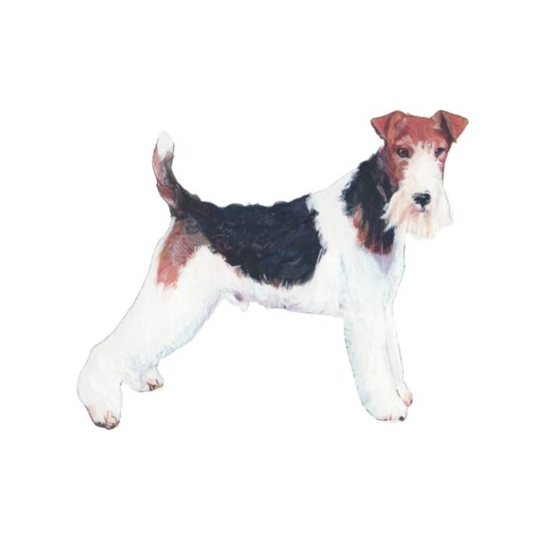 Wire Fox Terrier Polly Horner 2011